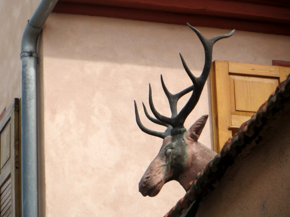 20170830_Heidelberger_Str12_Schwetzingen2