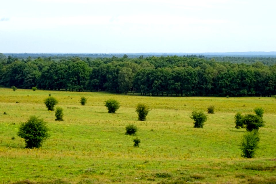 20170802_Uitzicht_vanaf_de_Valenberg2_Planken_Wambuis