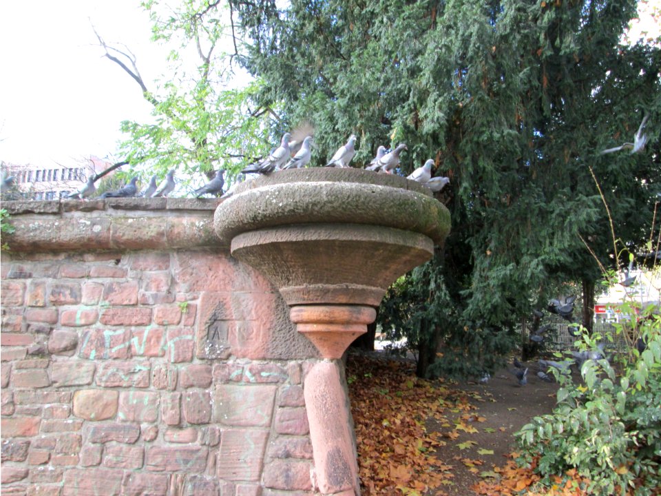 20171119Bastion_St_Andreas8