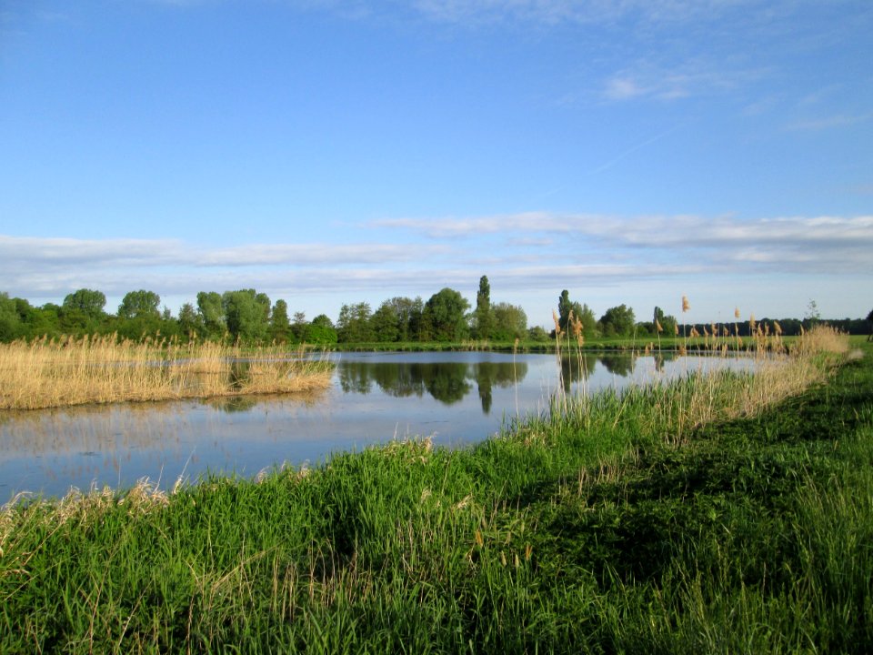 20180428Saalbachniederung4