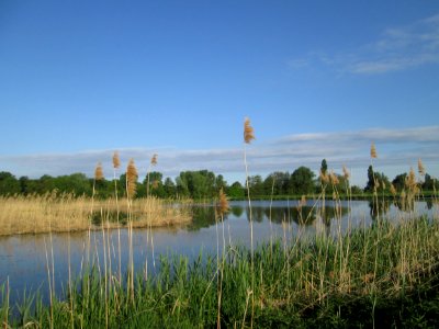 20180428Saalbachniederung6
