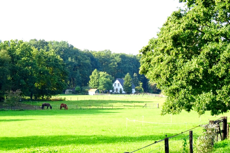 20170921_Droefakkers_Loenen