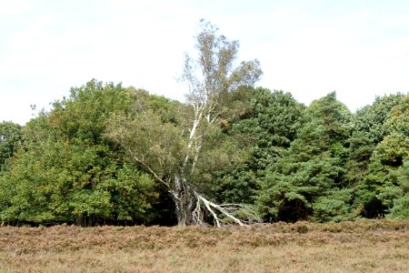 20170921_Zilvensche_Heide3