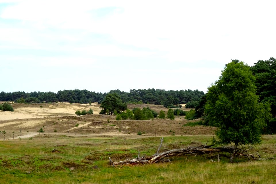 20170802_Wekeromsezand3