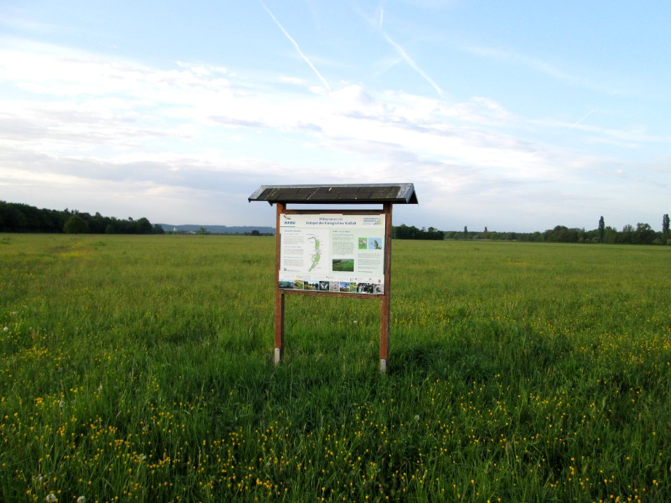 20180428Saalbachniederung2