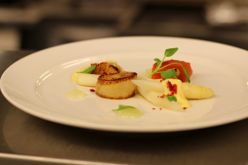 Food appetizer finedining