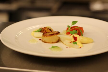 Food appetizer finedining