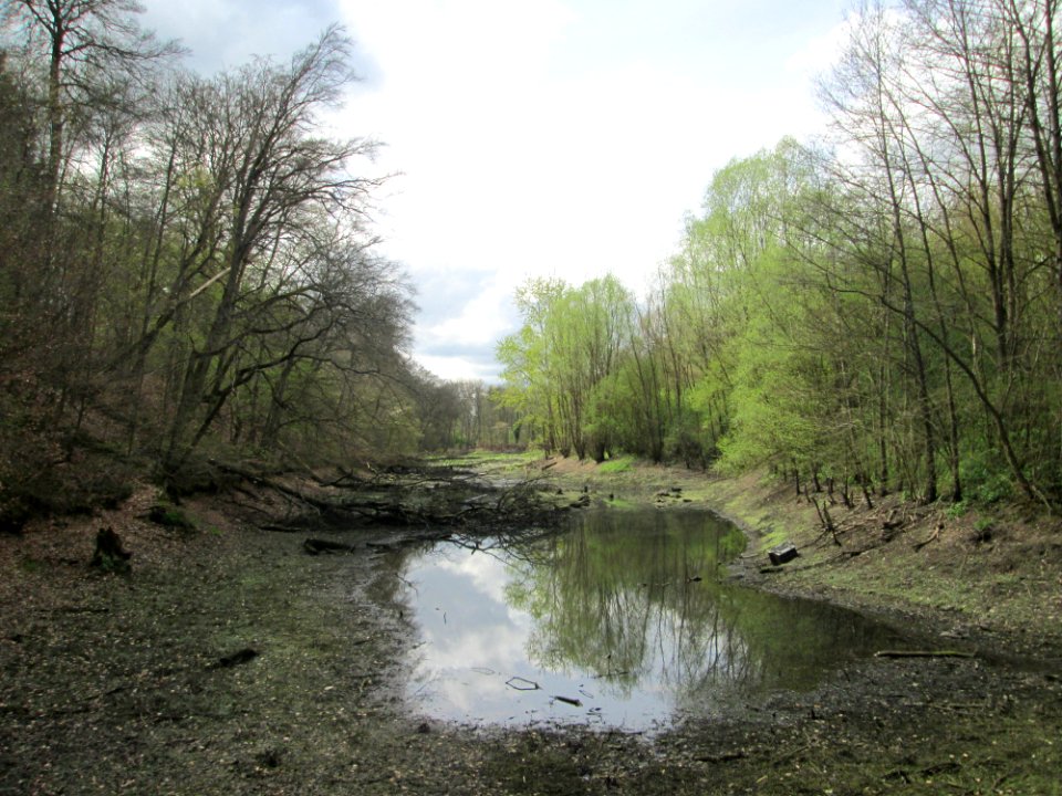 20180415Deutschmühlental2