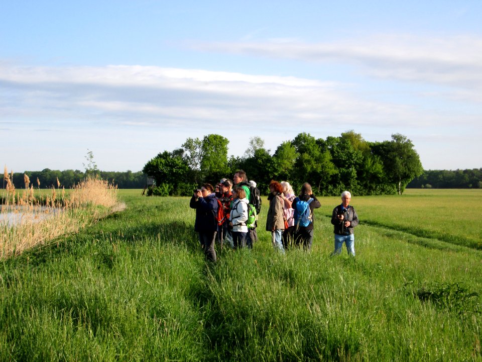 20180428Saalbachniederung3