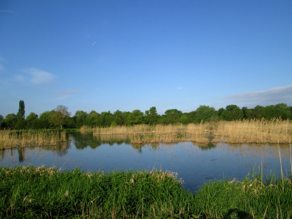 20180428Saalbachniederung5