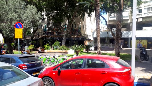 20180316_115224-ben-zion-boulevard-tel-aviv-march-2018