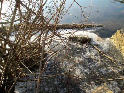 20180227Saar3