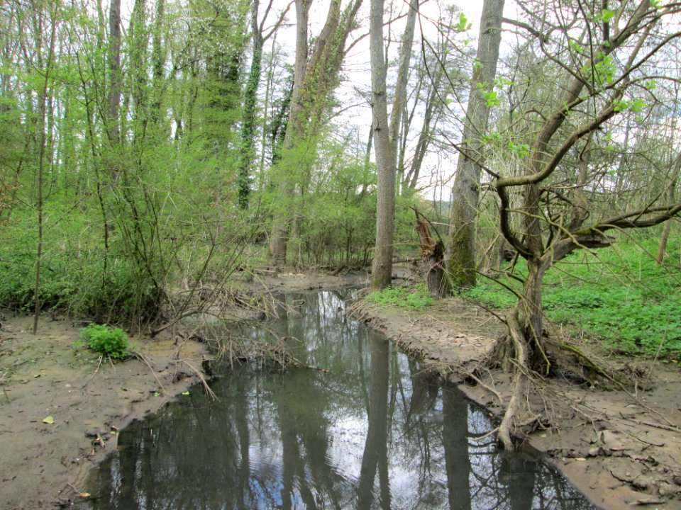 20180416Simbach