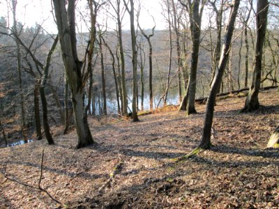 20180324Habsterwiesental2