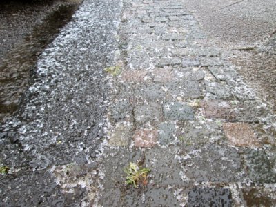 20180302Eisregen4