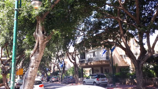 20180401_135120-herzel-street-ramat-gan-2018