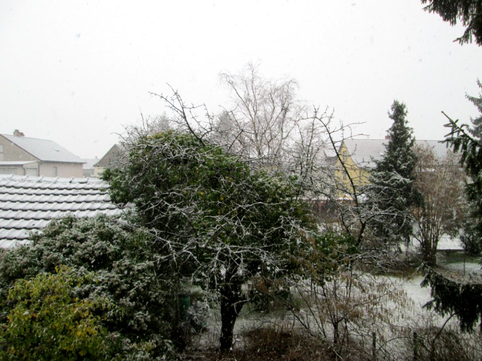 20180204Hockenheim2