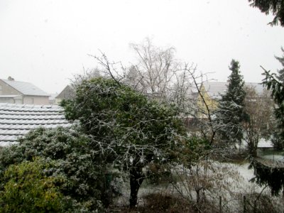20180204Hockenheim2