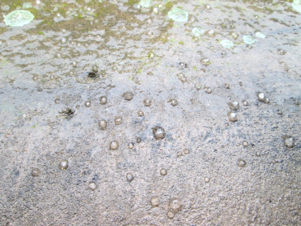 20180302Eisregen1