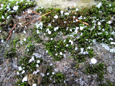 20180203Graupel3