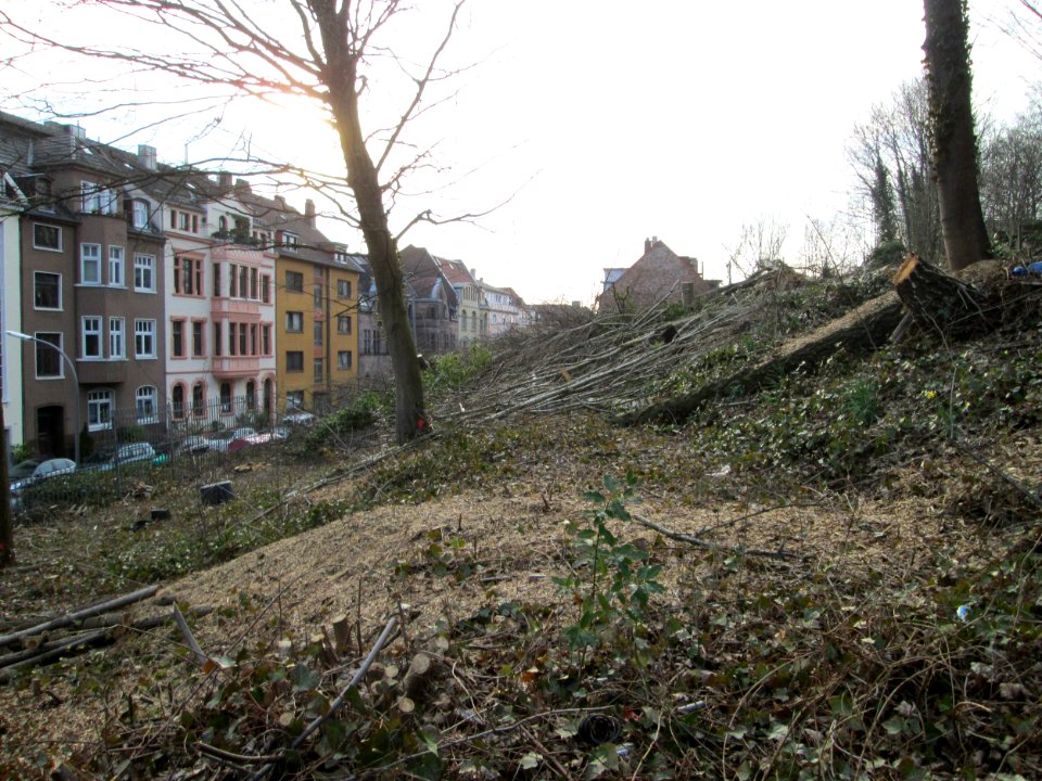 20180325Schumannstraße1