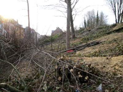 20180325Schumannstraße2
