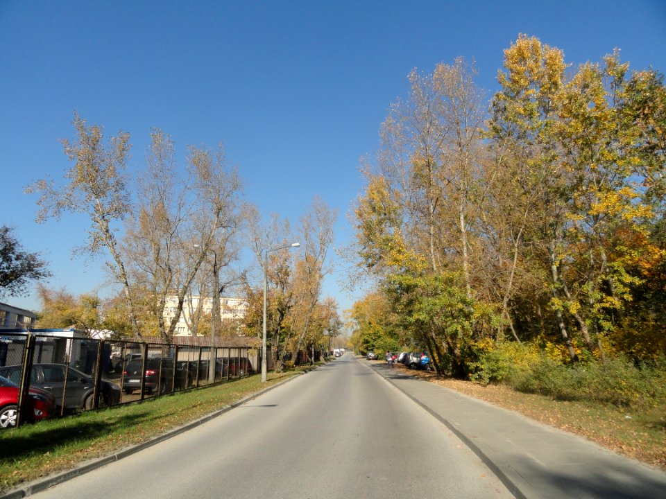 2018_Warszawa_Golędzinowska,_5