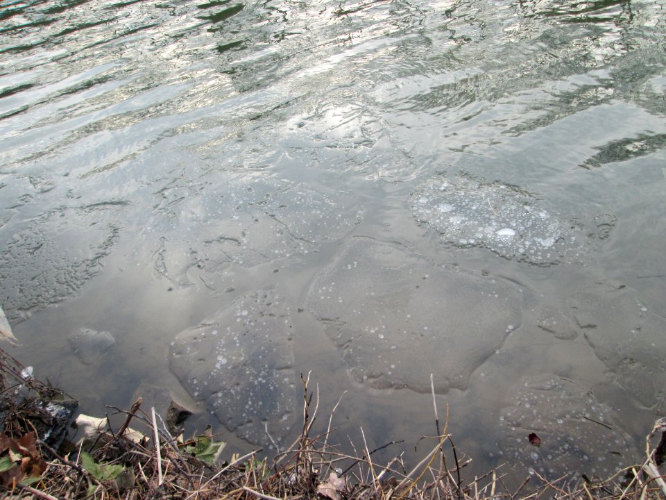 20180301Saar3
