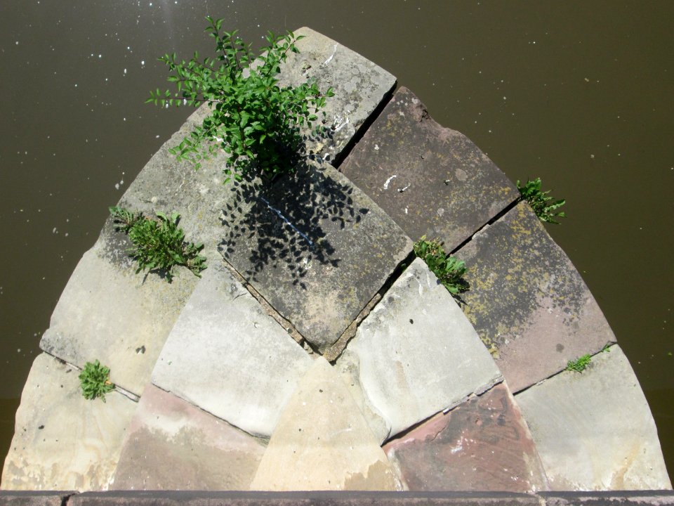 20180605Alte_Brücke1