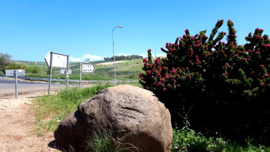 20180325-115855-Nature-of-Galilee-march-2018-tabgha