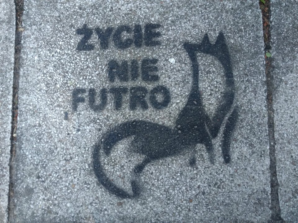 2018_Warszawa_Ogród_Saski,_graffiti_na_chodniku