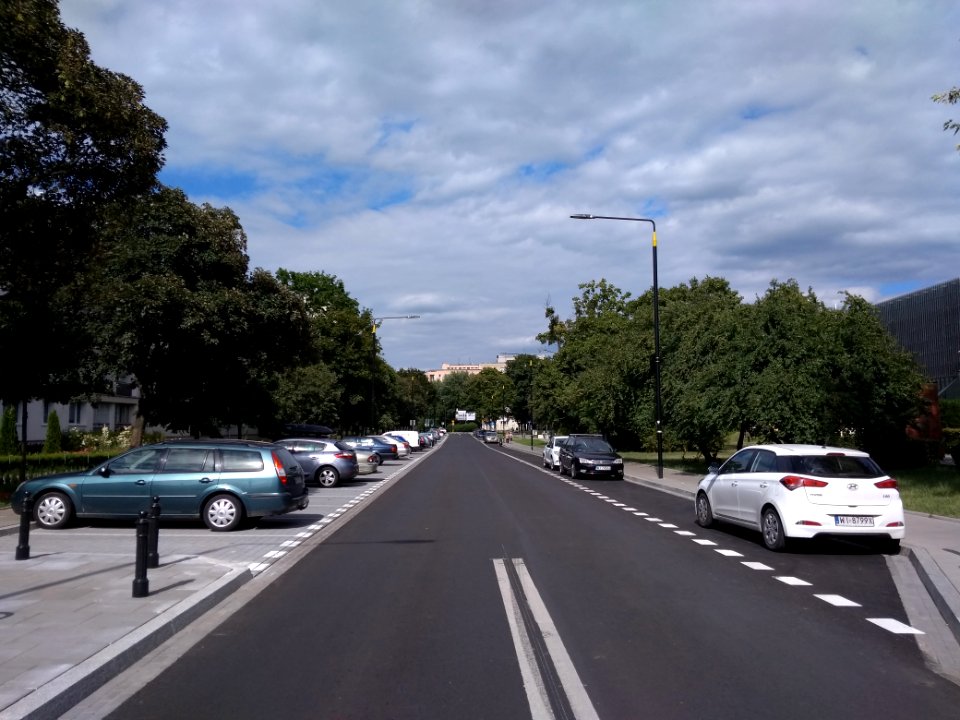 2018_Warszawa_Edelmana