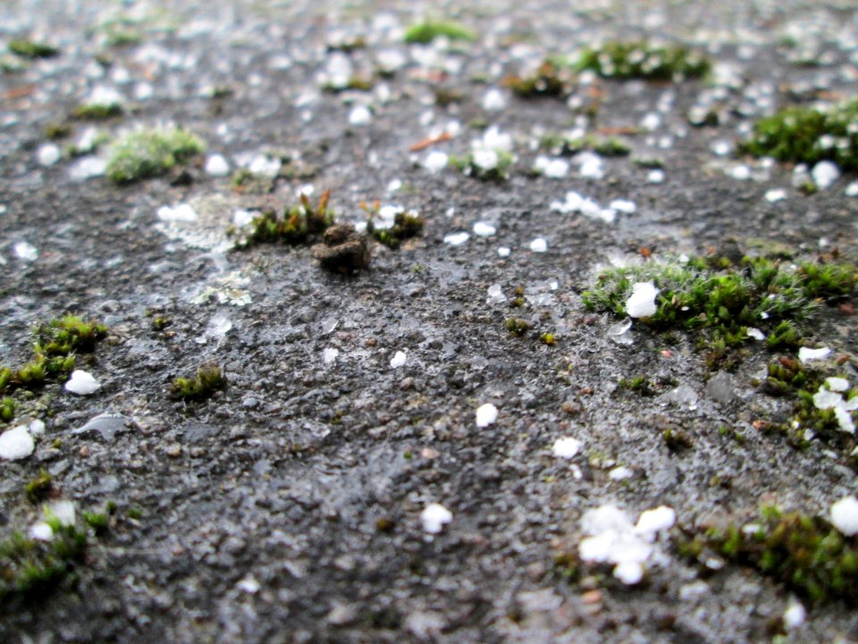 20180203Graupel2