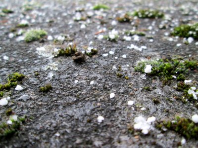 20180203Graupel2