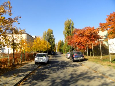2018_Warszawa_Gersona