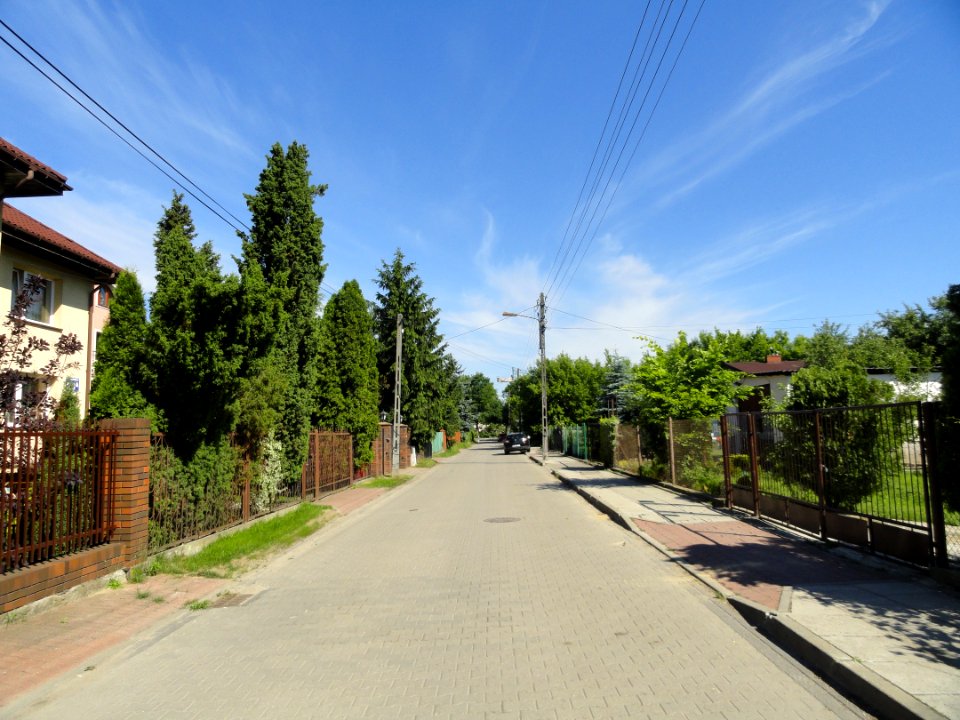 2018_Warszawa_Marchołta
