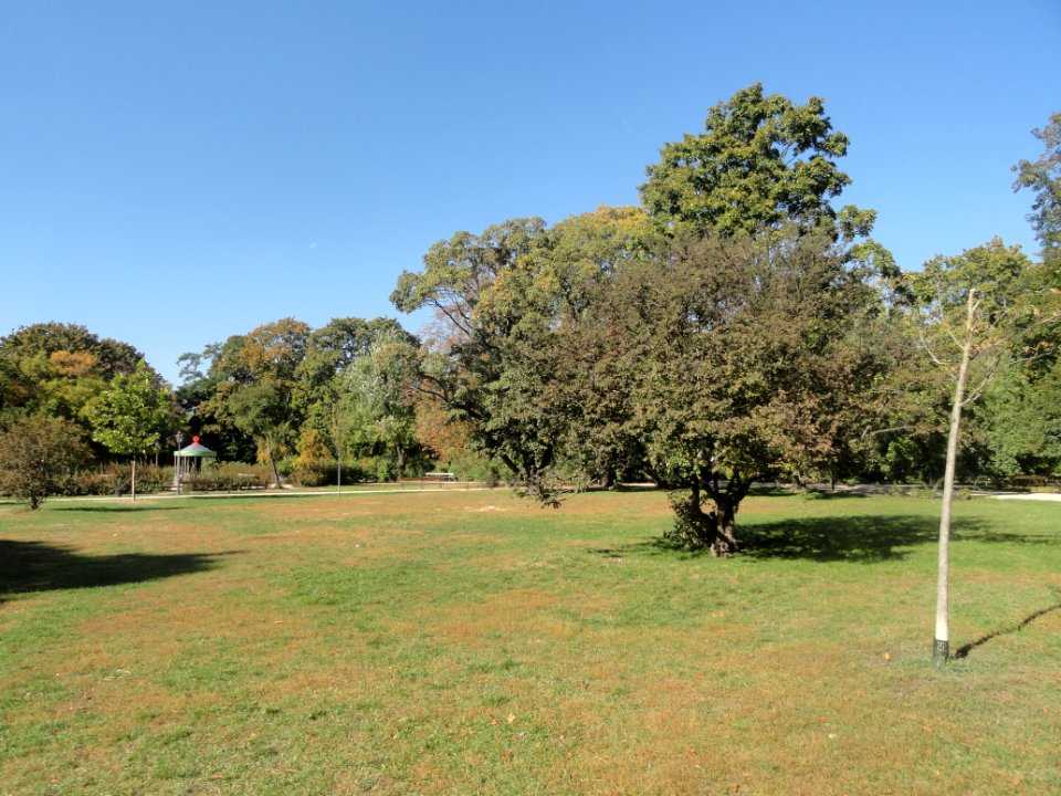 2018_Warszawa_Ogród_Krasińskich,_22