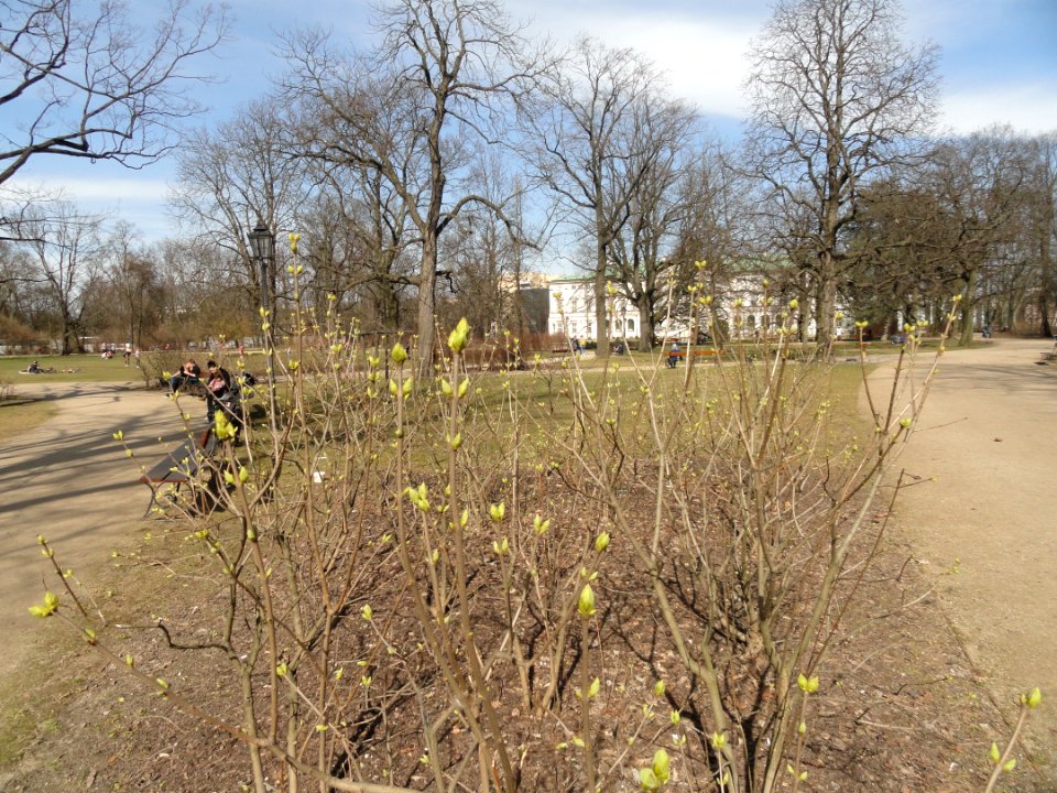 2018_Warszawa_Ogród_Krasińskich,_3