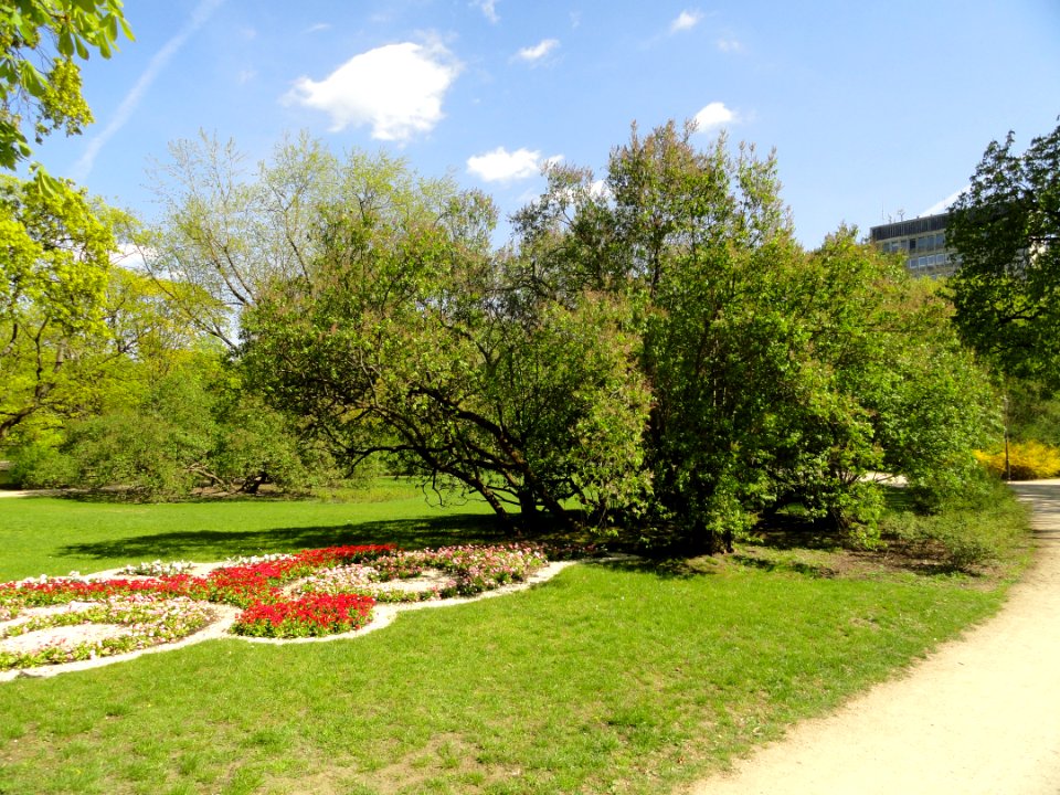 2018_Warszawa_Ogród_Krasińskich,_15
