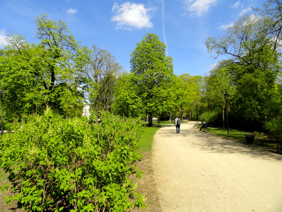 2018_Warszawa_Ogród_Krasińskich,_11