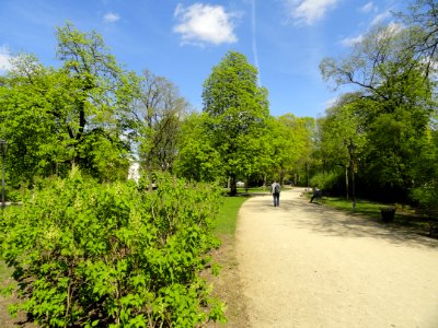 2018_Warszawa_Ogród_Krasińskich,_11
