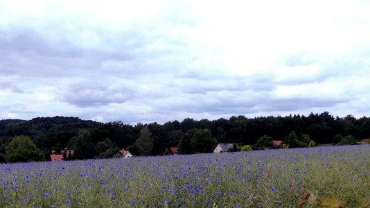 2018_Rammenau_Tanneberg