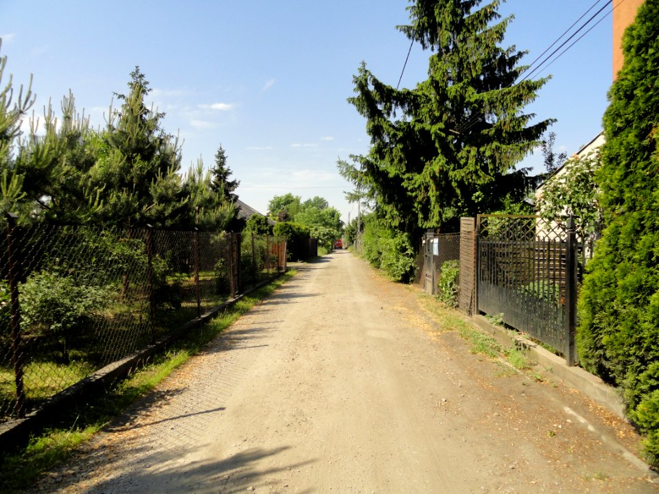 2018_Warszawa_Leliwitów