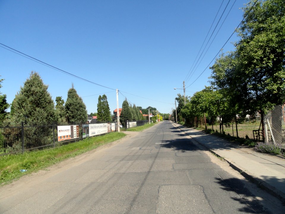 2018_Warszawa_Czeremchowa,_1