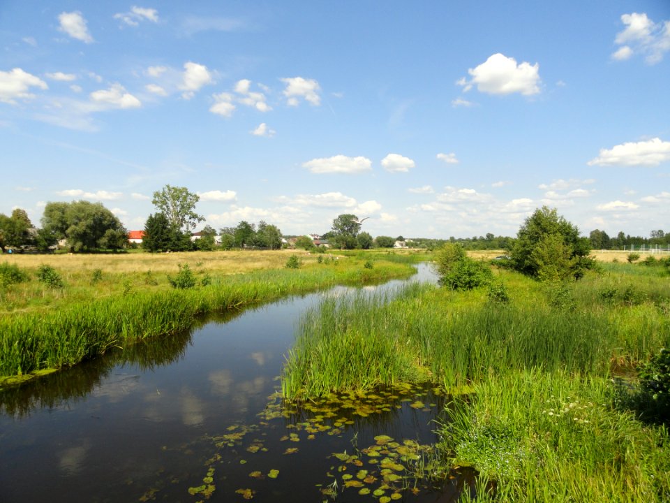 2018_Rządza,_Stare_Załubice
