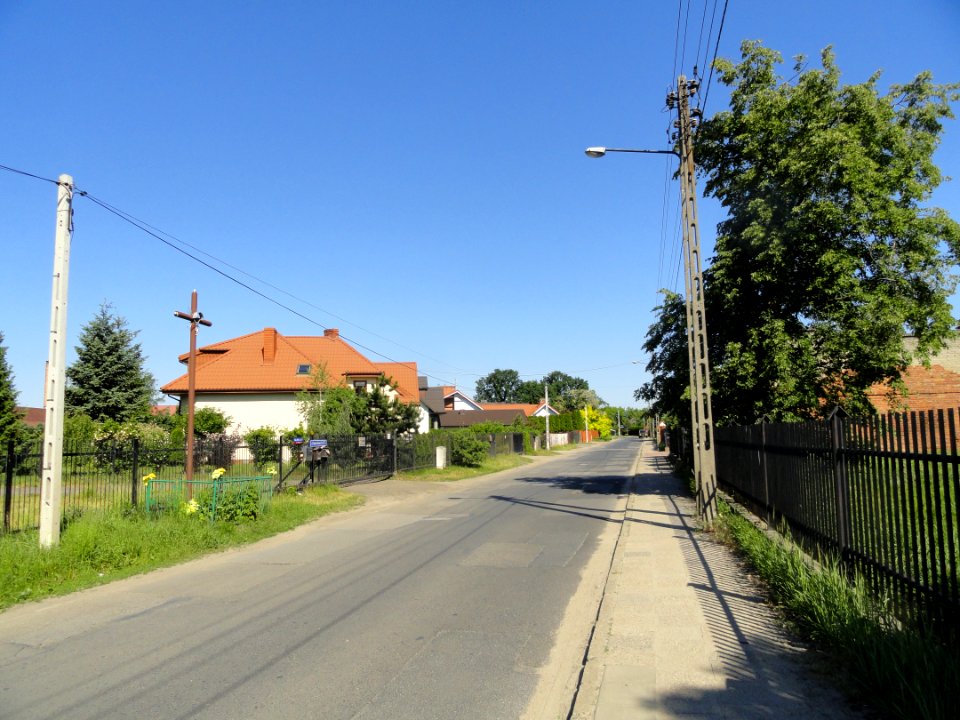 2018_Warszawa_Czeremchowa,_2