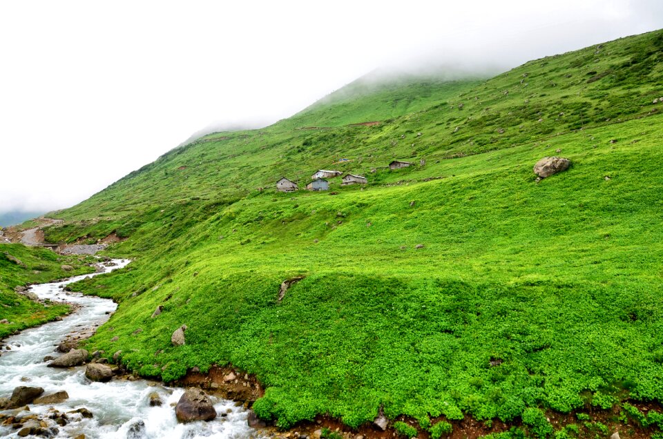 Nature green kaçkars