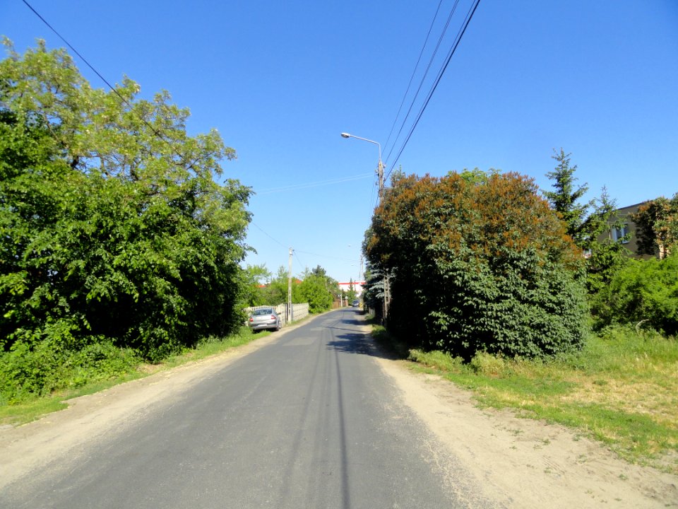 2018_Warszawa_Czeremchowa,_3