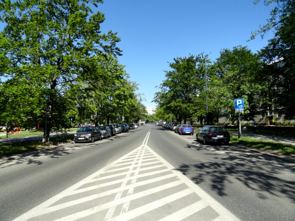 2018_Warszawa_Anielewicza