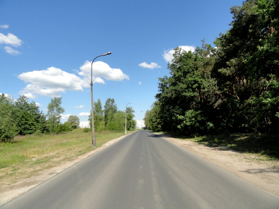 2018_Warszawa_Deseniowa